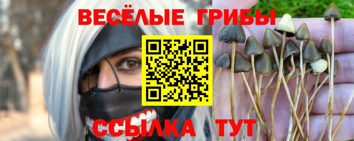 Псилоцибиновые грибы мухоморы  Псилоцибиновые грибы прущие грибы  Изобильный  Вход с VPN 