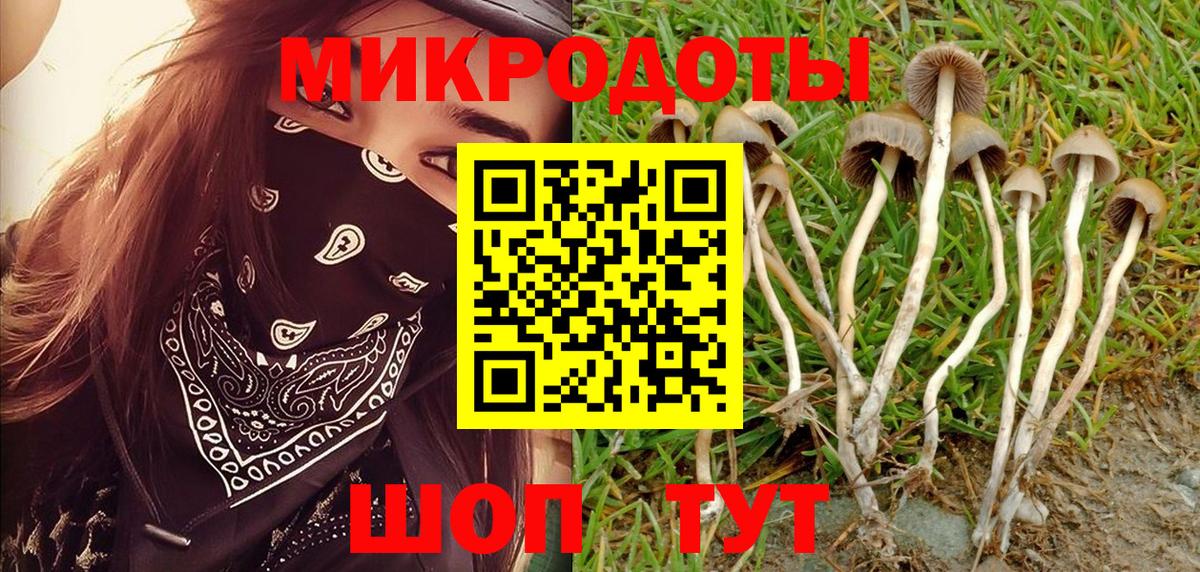 Псилоцибиновые грибы мицелий Изобильный